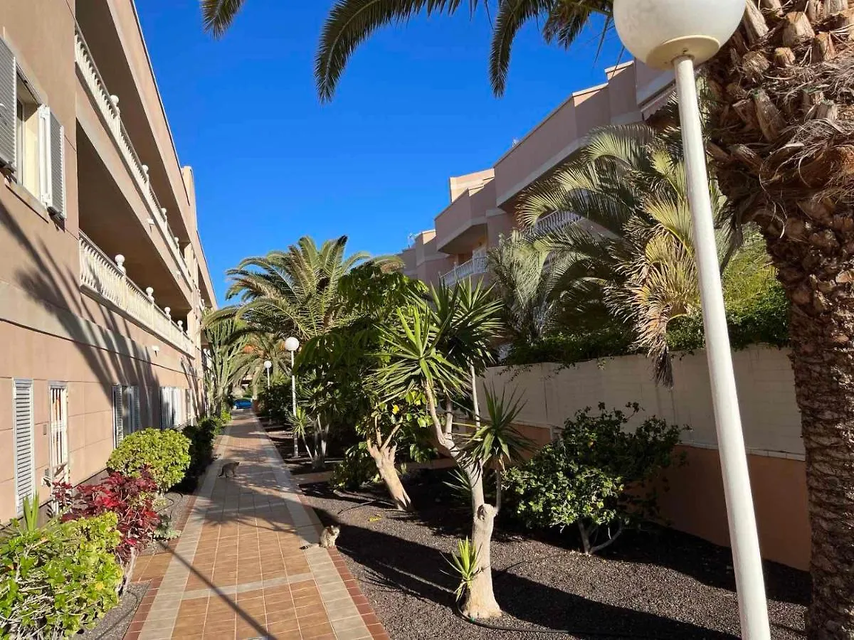 2 Bedroom Apartment With A Pool Arona   Arona (Tenerife)